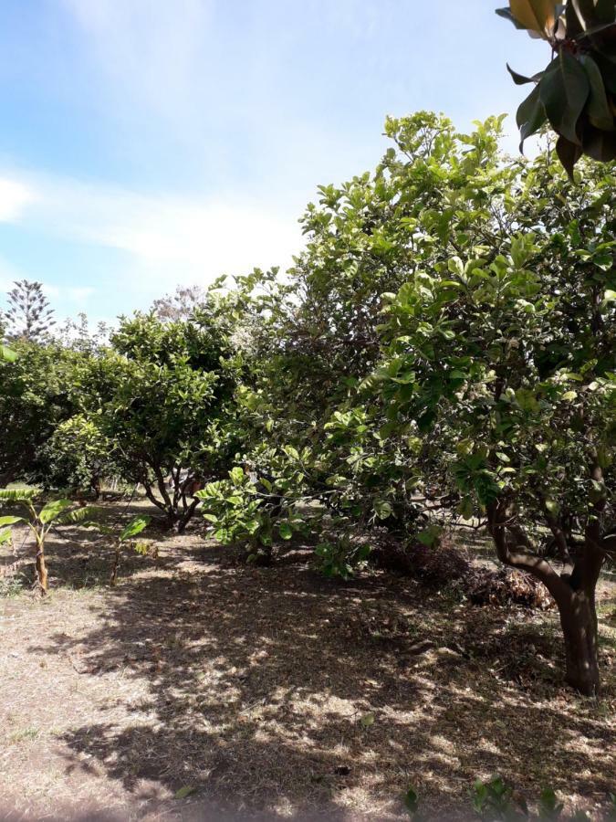 Casa Agrumeto Stromboli Bagian luar foto